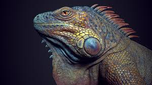 Gumroad Organic Real Time Texturing in Substance Painter Full Course Iguana