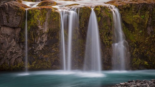 LinkedIn Photoshop 2024 Essential Training