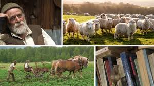 LinkedIn Premiere Pro 2025 Essential Training