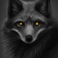 DARKFOX