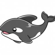 Orca