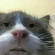 ronipepe