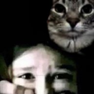 ouivnaerolodsad