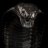 Black Cobra